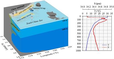 Utilization of Soot and 210 Po-210 Pb Disequilibria to Constrain Particulate Organic Carbon Fluxes in the Northeastern South China Sea